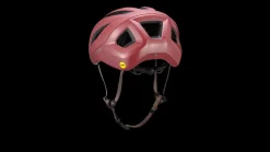 Casque Search