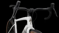 Diverge Expert Carbon