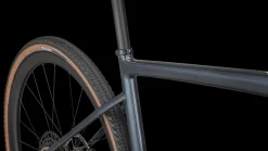Diverge Expert Carbon