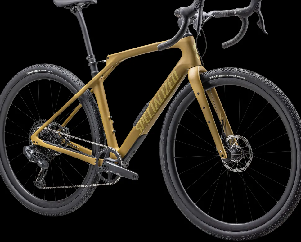 Diverge STR Expert