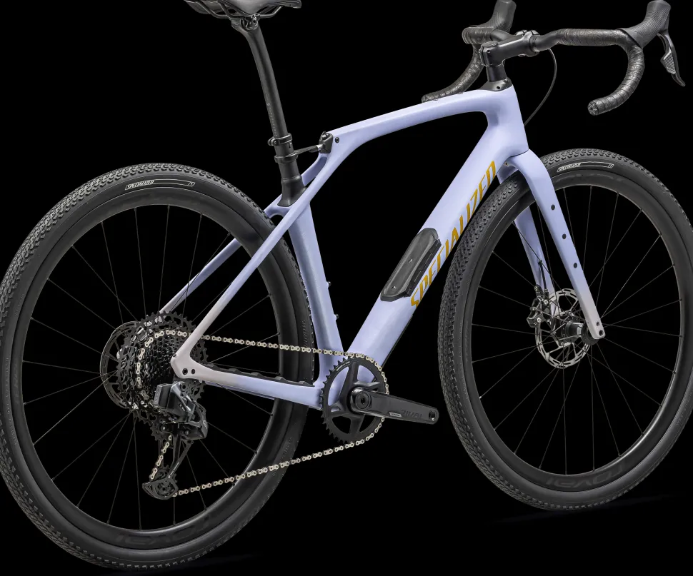 Diverge STR Expert