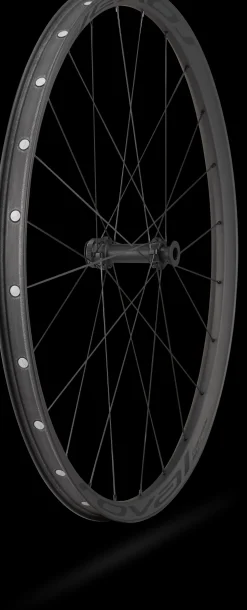 Paire de roues Roval Control SL 29 CL MS