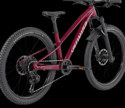 Riprock Expert 24