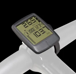Specialized Turbo Connect Display (TCD)