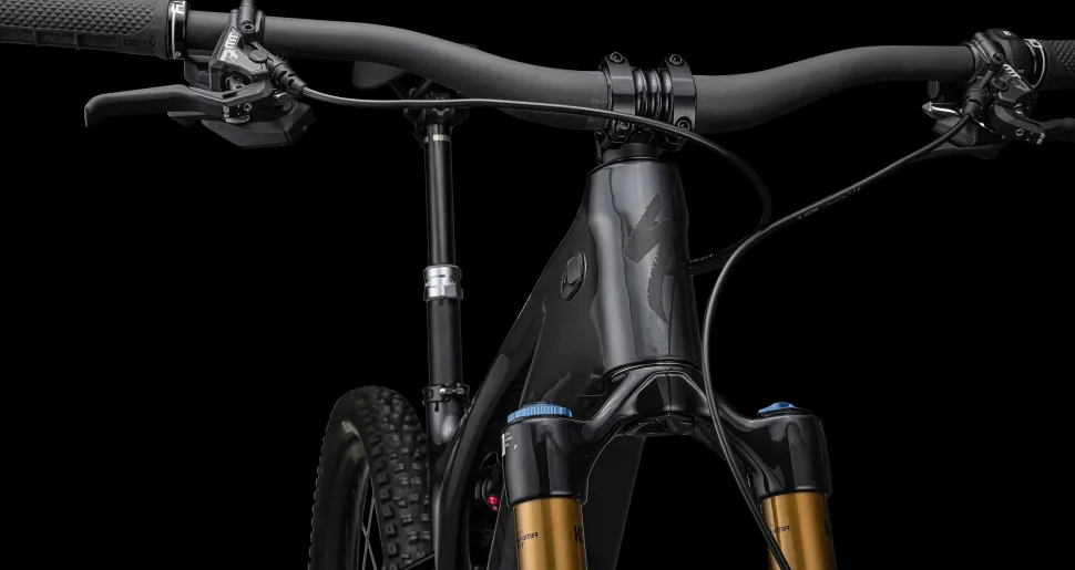 S-Works Turbo Levo
