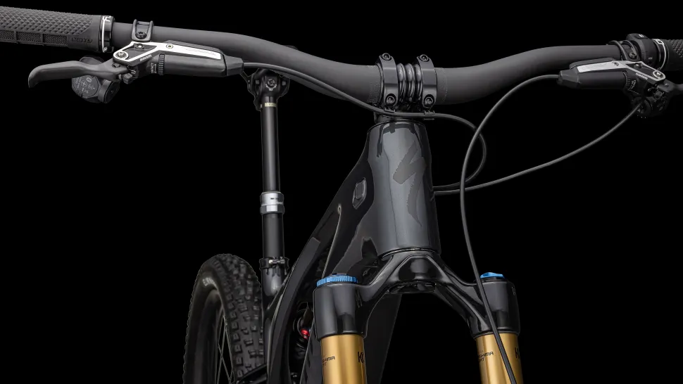 S-Works Turbo Levo