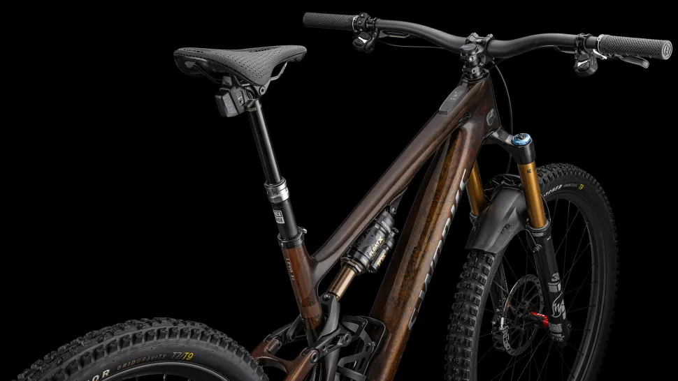 S-Works Turbo Levo SL