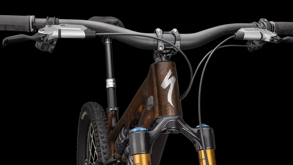 S-Works Turbo Levo SL