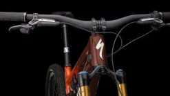 S-Works Turbo Levo SL Carbon