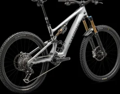 S-Works Turbo Levo SL Carbon