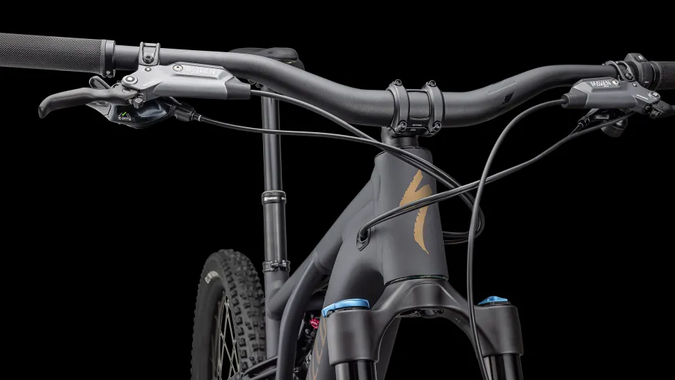 Turbo Levo Comp Alloy