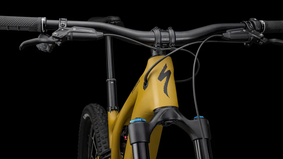 Turbo Levo Expert