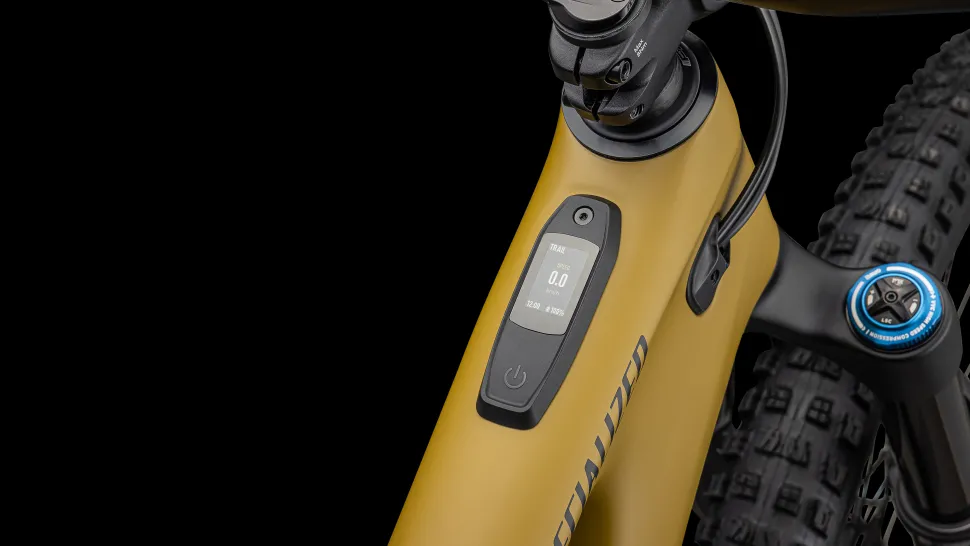 Turbo Levo Expert