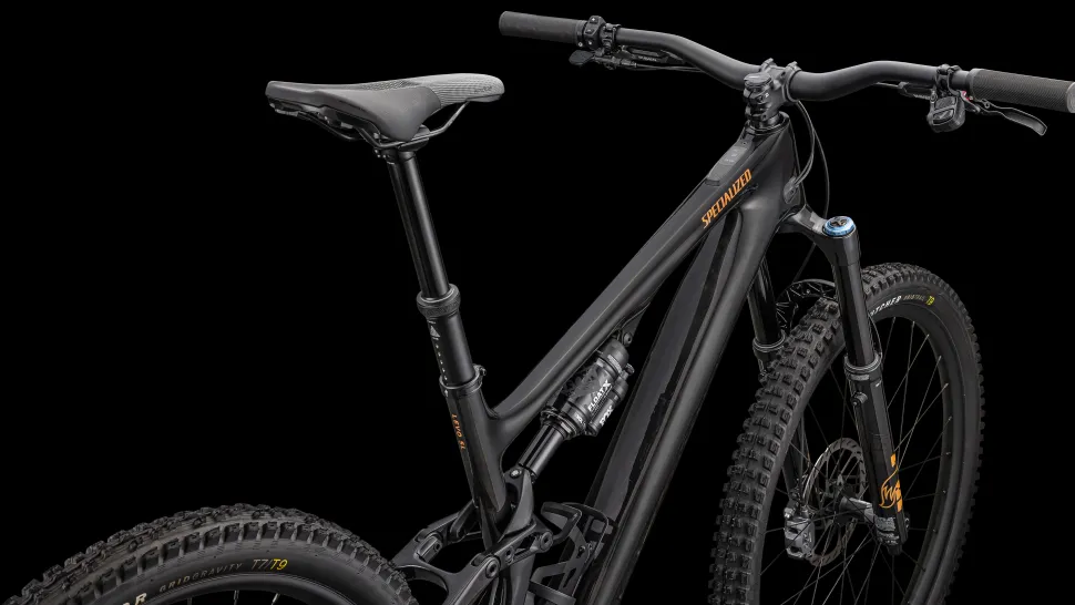 Turbo Levo SL Expert