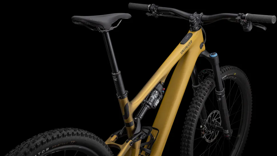 Turbo Levo SL Expert Carbon
