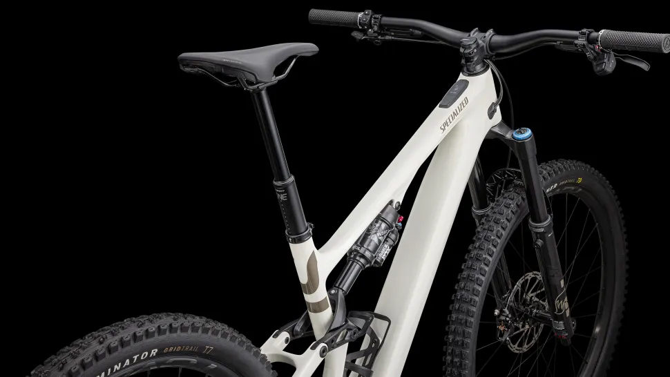 Turbo Levo SL Expert Carbon